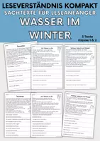 Vorschau - Arbeitsblätter - Wasser im Winter - Sachtexte für Erstleser | Leseverständnis Klasse 1 & 2 - Deckblatt