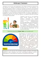 Vorschau - Arbeitsblätter - Testosteron einfach erklärt: Funktion, Wirkung & Pubertät - Seite 1