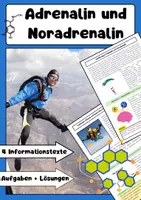 Vorschau - Arbeitsblätter - Adrenalin und Noradrenalin: Kampf-Flucht & Energie - Deckblatt