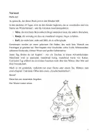 Vorschau - Anderer Materialtyp - Die Winterfunken und das Schattenlicht - Adventskalender - Seite 1