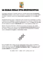 anteprima - Esercizi - Scienza e Notazione esponenziale scientifica - esercizi - Pagina 2
