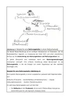 Vorschau - Arbeitsblätter - "Wer frisst wen?" – Räuber-Beute-Beziehungen, Nahrungsketten und Nahrungsnetze - Seite 2