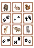 Vorschau - Spiele - Zuordnungsspiel Tierspuren - Seite 2