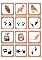 Vorschau - Spiele - Zuordnungsspiel Tierspuren - Seite 3