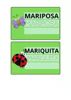 Vista previa - Unidades / Secuencias / Situaciones de Aprendizaje - Vocabulario de primavera para repasar y copiar - página 2