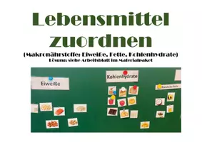 Vorschau - Arbeitsblätter - Materialpaket Makronährstoffe (Kohlenhydrate, Eiweiße, Fette) - Seite 3