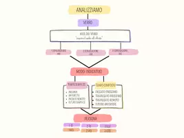 anteprima - Flashcard - Analizziamo: primi step per l'analisi grammaticale - Pagina 1