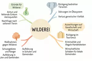 Vorschau - Arbeitsblätter - AB mit Fragen zum Thema "Wilderei" + Lösungsblatt + Mindmap + Infografik - Seite 2