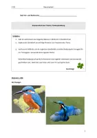 Vorschau - Test - Klassenarbeit und EWH_Tierbeschreibung_Eisvogel_Klasse 5 - Seite 1