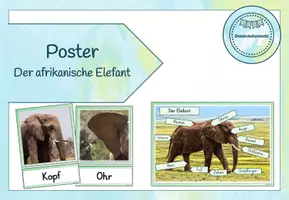Vorschau - Poster - Miniposter/Tafelmaterial - Elefanten - Seite 1
