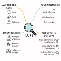 Vorschau - Arbeitsblätter - Lernposter + Arbeitsblatt "Lupe" + Onlineübung & MP3 + Mindmap + Infografik - Seite 3