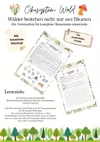 Vorschau - Arbeitsblätter - Wälder bestehen nicht nur aus Bäumen -Ökosystem Wald- - Deckblatt