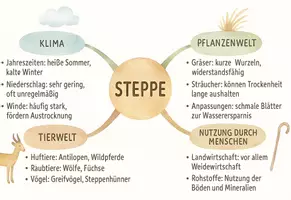 Vorschau - Arbeitsblätter - Lernposter + Arbeitsblätter zum Thema "Steppe" + Lösung & MP3 + Mindmap + Infografik - Seite 3