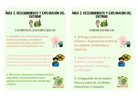 Vista previa - Refuerzo / NEE / Materiales de apoyo - TABLA RESUMEN COMPETENCIAS ESPECÍFICAS Y SABERES BÁSICOS - EDUCACIÓN INFANTIL - página 2