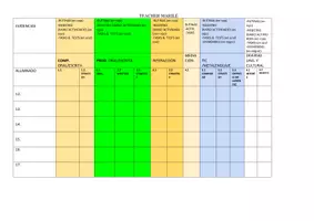 Vista previa - Evaluación - Mapa de Desempeño y Registro Individual de Seguimiento - página 3