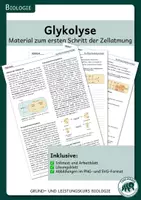 Vorschau - Arbeitsblätter - Glykolyse - Material zum ersten Schritt der Zellatmung - Deckblatt