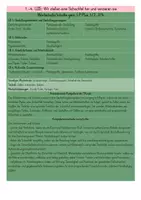 Vorschau - Stundenentwürfe - Schachtel falten – bebilderte Anleitung in Silbenschrift🎁 - Seite 1
