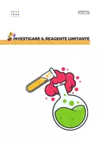 anteprima - Esperimenti - Investigare il reagente limitante - Pagina di copertina