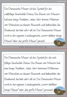 Vorschau - Aufgabenkarten - Schreibschrift: Chinesische Mauer: Fehlerteufel Lesekarten Doppelkonsonanten - Seite 3