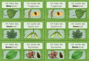 Vorschau - Spiele - Bewegtes Lernen: Waldbäume und ihre Früchte/ Samen (Sachunterricht Wald Grundschule) - Seite 3