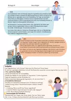 Vorschau - Arbeitsblätter - Vapes: Materialgestützte Bewertung - Seite 2
