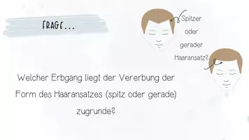 Vorschau - Unterrichtsreihen - Genetik: Erbgänge, Stammbaumanalyse | Biologie 12 | 2 fertige Unterrichtsstunden | sofort einsetzbar - Seite 2