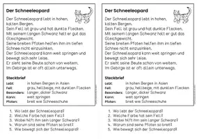 Vorschau - Arbeitsblätter - Der Schneeleopard für Hefteinträge - 3x differenziert | Leseverständnis Klasse 1 + 2 - Seite 2