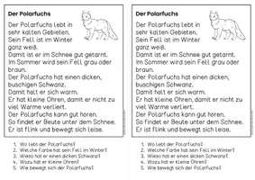 Vorschau - Arbeitsblätter - Der Polarfuchs für Hefteinträge - 3x differenziert | Leseverständnis Klasse 1 + 2 - Seite 1