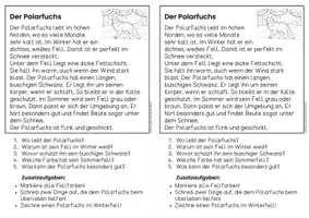 Vorschau - Arbeitsblätter - Der Polarfuchs für Hefteinträge - 3x differenziert | Leseverständnis Klasse 1 + 2 - Seite 3