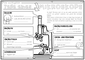 Vorschau - Arbeitsblätter - Aufbau des Mikroskops (2-fach differenziert) - Seite 3