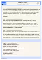 Vorschau - Arbeitsblätter - Sachtexte saisonal – Wer war Nikolaus wirklich? - Seite 2