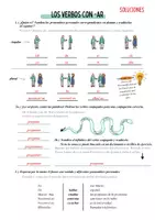 Vorschau - Arbeitsblätter - ✍️🇪🇸 Arbeitsblatt: Spanische -ar-Verben ✍️🇪🇸 - Seite 3