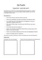 Vorschau - Arbeitsblätter - Das Auge entdecken – Lern- und Experimentheft für die 5.–6. Klasse - Seite 3