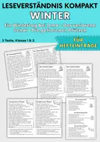 Vorschau - Arbeitsblätter - Winter Leseverständnis für Hefteinträge | Growing Bundle | Klasse 1 & 2 - Seite 1