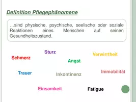 Vorschau - Präsentationen/Tafelbilder - Einführung - Assessmentinstrumente in der Pflege - Seite 3