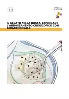 anteprima - Esperimenti - Il gelato nella busta esplorare l’abbassamento crioscopico con ghiaccio e sale - Pagina di copertina