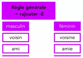 Aperçu - Apprentissages en autonomie - Atelier autonome : grammaire (féminin des noms communs) - Page de couverture