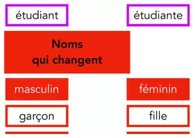 Aperçu - Apprentissages en autonomie - Atelier autonome : grammaire (féminin des noms communs) - Page 1