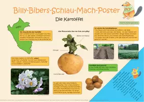 Vorschau - Stationenlernen - Billy-Biber- Schlau-Mach-Poster_Die Kartoffel - Deckblatt
