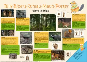 Vorschau - Stationenlernen - Billy-Biber-Schlau-Mach_ Tiere des Waldes #edukiSale - Deckblatt