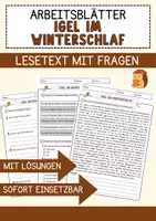 Vorschau - Arbeitsblätter - Winter Materialpaket Arbeitsblätter Offene Fragen, Multiple-Choice & Übungen - Seite 1