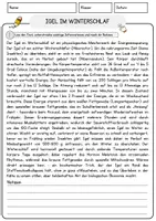 Vorschau - Arbeitsblätter - Winter Materialpaket Arbeitsblätter Offene Fragen, Multiple-Choice & Übungen - Seite 2