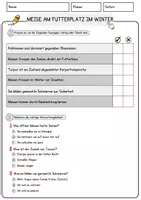 Vorschau - Arbeitsblätter - Meise am Futterplatz im Winter Weihnachten und Winter Lesetext mit Richtig Falsch Multiple Choice und Offenen Fragen - Seite 2
