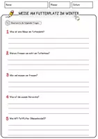 Vorschau - Arbeitsblätter - Meise am Futterplatz im Winter Weihnachten und Winter Lesetext mit Richtig Falsch Multiple Choice und Offenen Fragen - Seite 3
