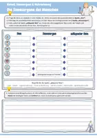 Vorschau - Arbeitsblätter - Biologie | Gesamte Einheit: "Sinnesorgane & Wahrnehmung“ | 18 Arbeitsblätter + Lösungen + 4 Präsentationen | Klasse 7 und 8 - Seite 3