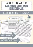 Vorschau - Arbeitsblätter - Seehund auf der Eisscholle Weihnachten und Winter Lesetext mit Richtig Falsch Multiple Choice und Offenen Fragen - Deckblatt