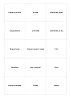 Aperçu - Jeux - Animaux et plantes : Jeux avec des cartes images - Page 3