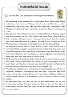 Vorschau - Arbeitsblätter - Insektenhotel bauen Lesetext mit Fragen + Lösungen Leseverstehen Wortspeicher didaktische Reserve Lesen Leseverständnis - Seite 3