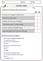 Vorschau - Arbeitsblätter - Ewiges Leben Religion Arbeitsblätter mit Fragen + Lösungen Lesetext - Seite 2