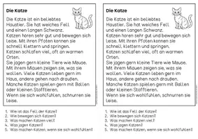 Vorschau - Arbeitsblätter - Die Katze - Sachtexte | Haustiere - für Hefteinträge - Leseverständnis Klasse 1 & 2 - Seite 1